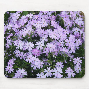 Hübscher lila Phlox Mousepad