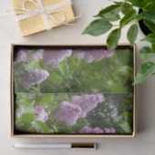 Hübscher Lilac Bush Seidenpapier (Geschenk)