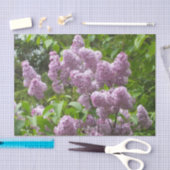 Hübscher Lilac Bush Seidenpapier (Handwerk)