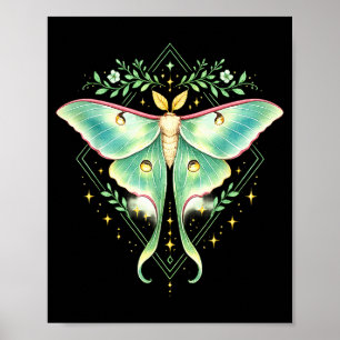 Hübscher Luna-Motte schöne Butterfly Insektenliebh Poster