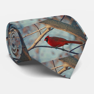 Hübscher männlicher Kardinal Krawatte