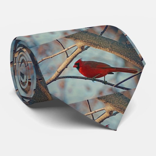 Hübscher männlicher Kardinal Krawatte (Gerollt)
