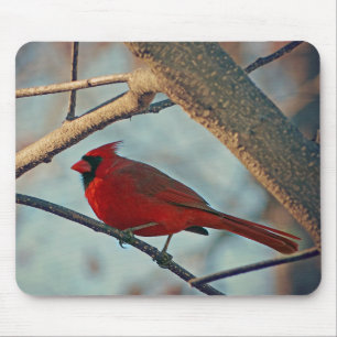 Hübscher männlicher Kardinal Mousepad