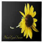 Hübscher mit Augen schwarzer Sushan auf schwarz Fliese (Vorderseite)