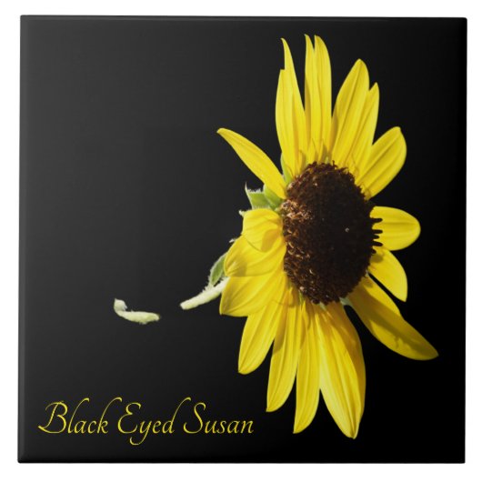 Hübscher mit Augen schwarzer Sushan auf schwarz Fliese (Vorderseite)