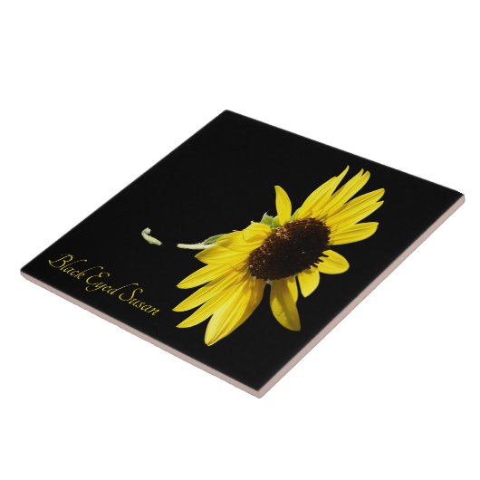 Hübscher mit Augen schwarzer Sushan auf schwarz Fliese (Seite)