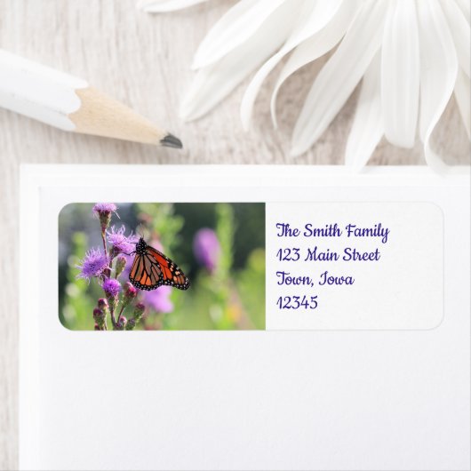 Hübscher Monarch (Insitu)