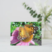 Hübscher Monarch Butterfly Postkarte (Stehend Vorderseite)
