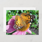 Hübscher Monarch Butterfly Postkarte (Vorne/Hinten)