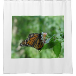 Hübscher Monarch Butterfly Rosa Blume Duschvorhang