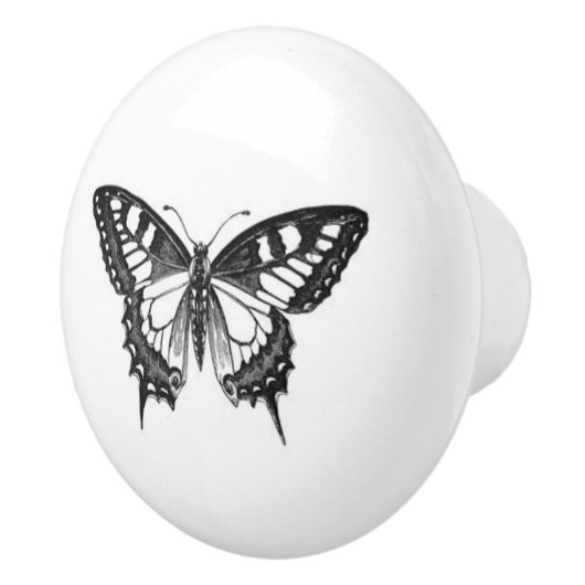 Hübscher Monarchen-Schmetterling in Schwarzweiß Keramikknauf (Rechts)