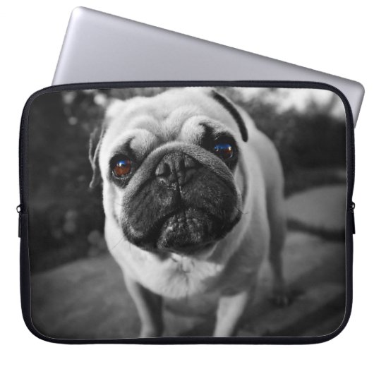 Hübscher Mops Laptopschutzhülle (Vorderseite)