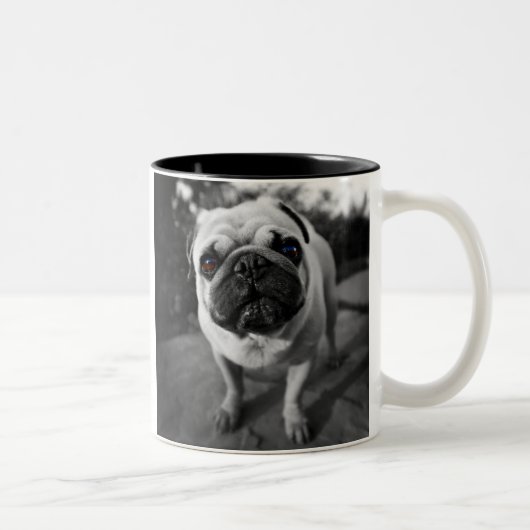 Hübscher Mops Zweifarbige Tasse (Rechts)