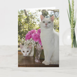 Hübscher Muttertag für Katze und Kitten Karte