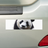 Hübscher Naher Panda Artwork Autoaufkleber (Auf Auto)