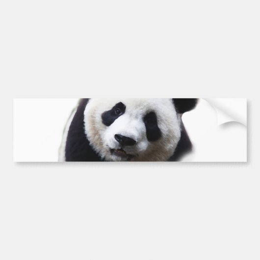 Hübscher Naher Panda Artwork Autoaufkleber (Vorne)
