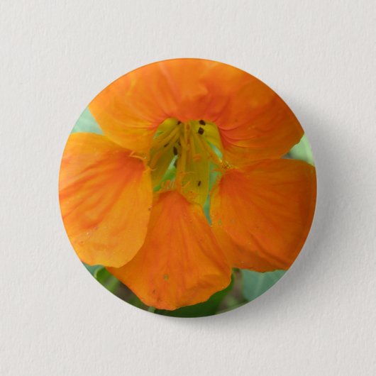 Hübscher Orange Nasturtium Blume Button (Vorderseite)
