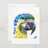 Hübscher Papagei Feiertagspostkarte (Vorne/Hinten)