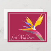 Hübscher Paradiesvogel Blume Pink wieder gut Postkarte (Vorne/Hinten)