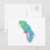 hübscher Pastellpapagei Postkarte (Vorne/Hinten)