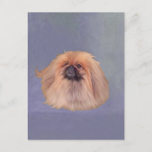 Hübscher Pekingese Postkarte