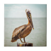Hübscher Pelikan gehockt über dem Ozean Fliese (Vorderseite)