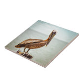 Hübscher Pelikan gehockt über dem Ozean Fliese (Seite)