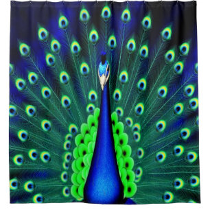 Hübscher Pfau-Duschvorhang Duschvorhang