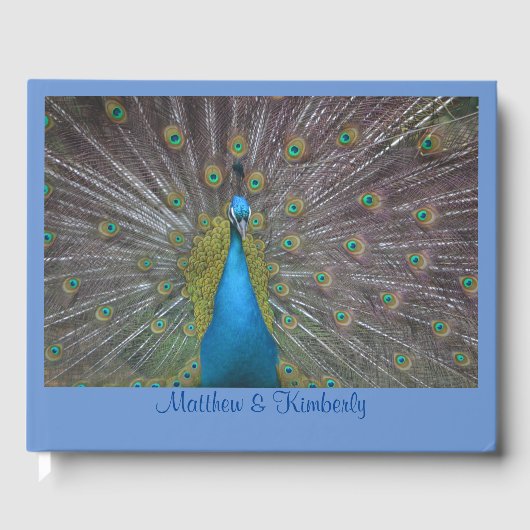 Hübscher Pfau Gästebuch (Vorderseite)