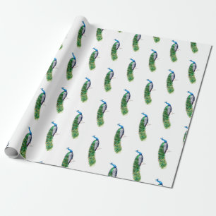 Hübscher Pfau Geschenkpapier