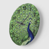 Hübscher Pfau Große Wanduhr (Winkel)