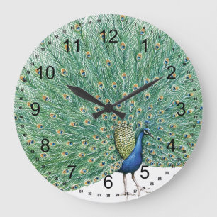 Hübscher Pfau Große Wanduhr