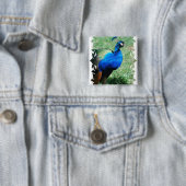 Hübscher Pfau-Knopf Button (Beispiel)
