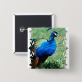 Hübscher Pfau-Knopf Button (Vorne & Hinten)