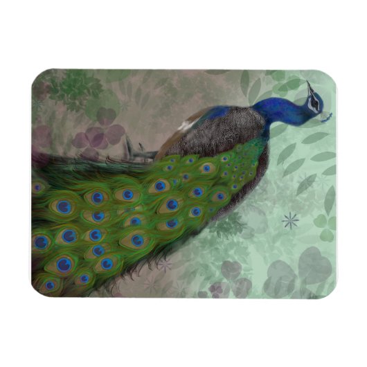 Hübscher Pfau Magnet (Horizontal)