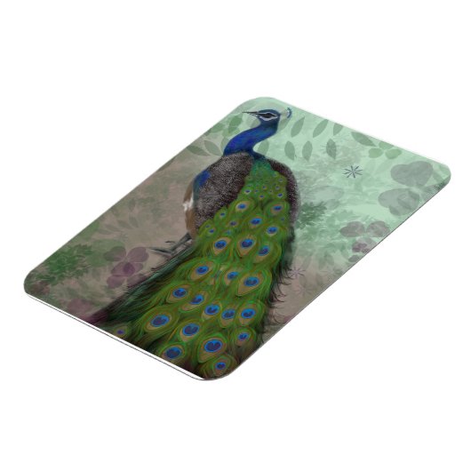 Hübscher Pfau Magnet (Linke Seite)
