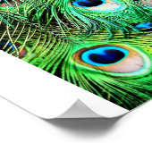Hübscher Pfau Poster (Ecke)