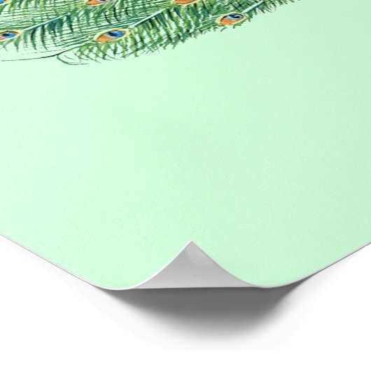 Hübscher Pfau Poster (Ecke)