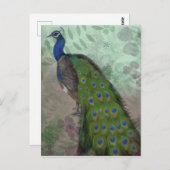 Hübscher Pfau Postkarte (Vorne/Hinten)