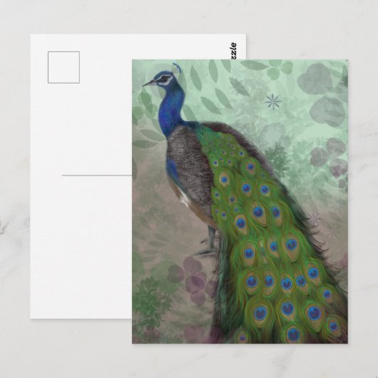 Hübscher Pfau Postkarte (Vorne/Hinten)