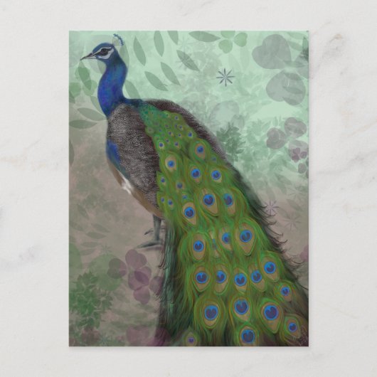 Hübscher Pfau Postkarte (Vorderseite)