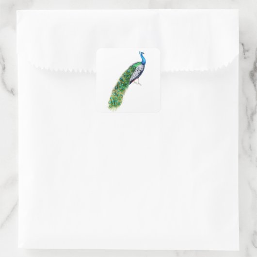 Hübscher Pfau Quadratischer Aufkleber (Tasche)