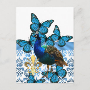 Hübscher Pfau und blaue Schmetterlinge Postkarte