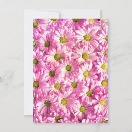 Hübscher Pink Daisies Muttertag Brunch Einladung (Rückseite)