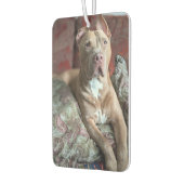 Hübscher Pit Bull Autolufterfrischer (Links)