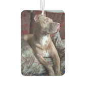 Hübscher Pit Bull Autolufterfrischer (Rückseite)
