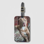 Hübscher Pit Bull Gepäckanhänger (Vorderseite Vertikal)