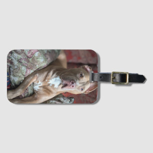 Hübscher Pit Bull Gepäckanhänger