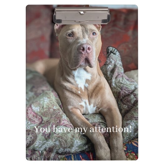 Hübscher Pit Bull Klemmbrett (Vorderseite)