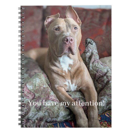 Hübscher Pit Bull Notizblock (Vorderseite)